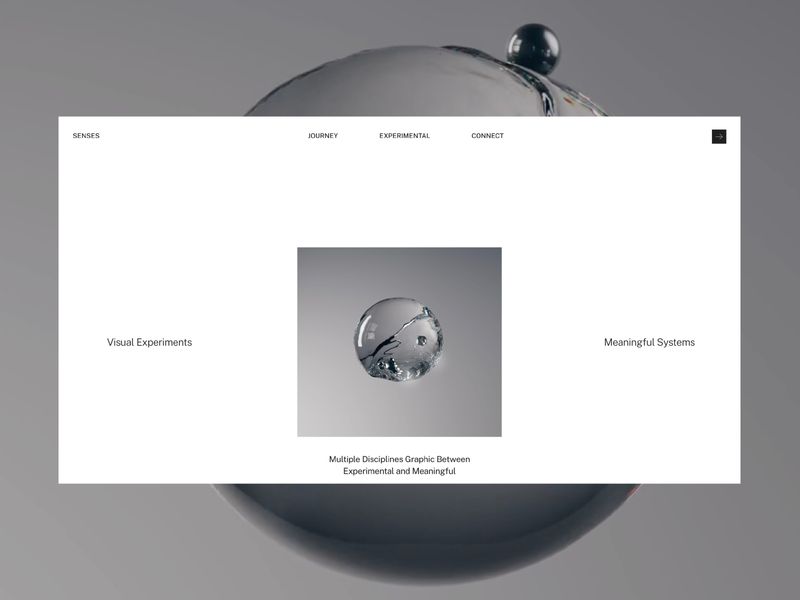 SENSES — Graphic Experimental