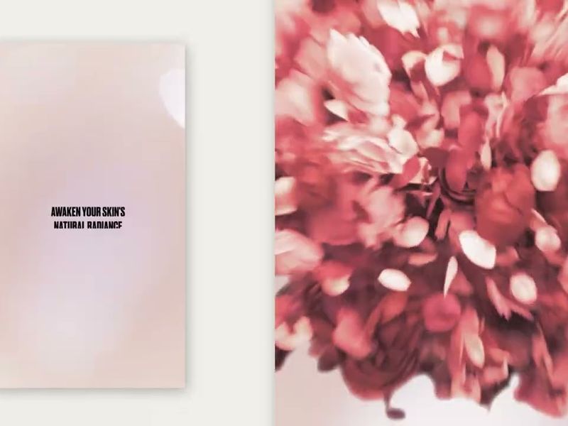 Maria Galland Social Media