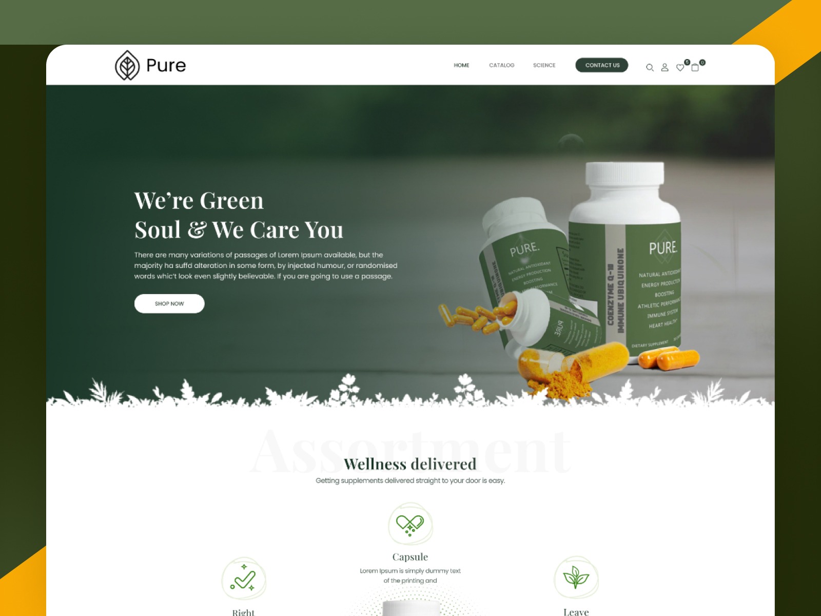 Pure: Health & Wellness E-commerce Design