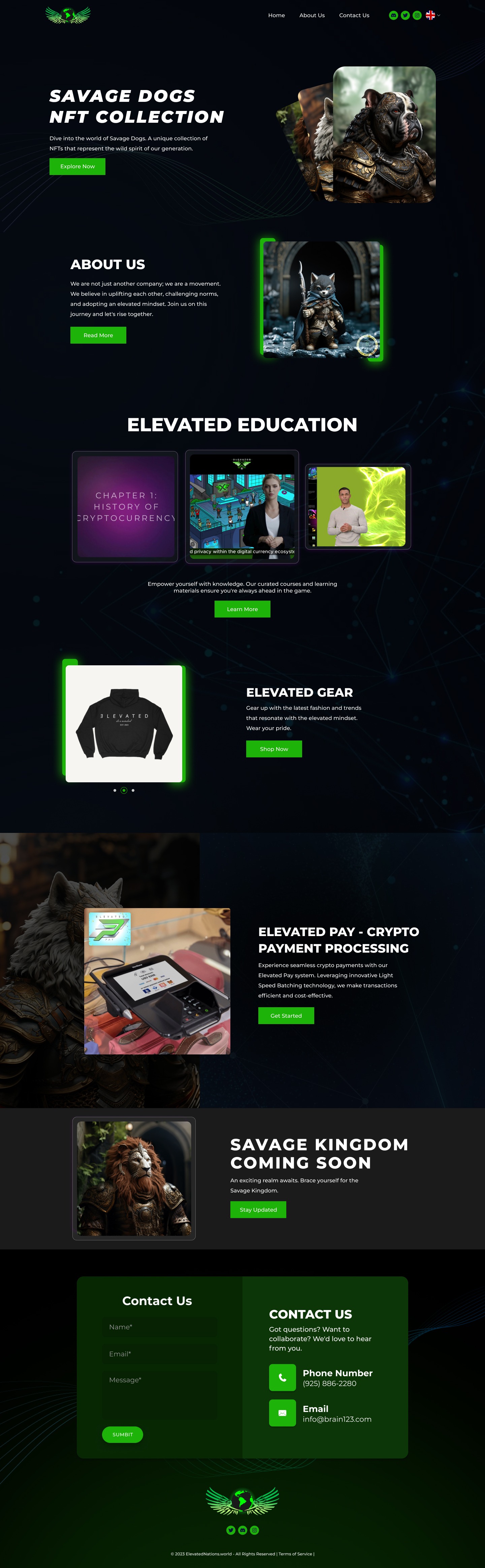 Elevated Nations: NFT Platform Design & Development Image 0