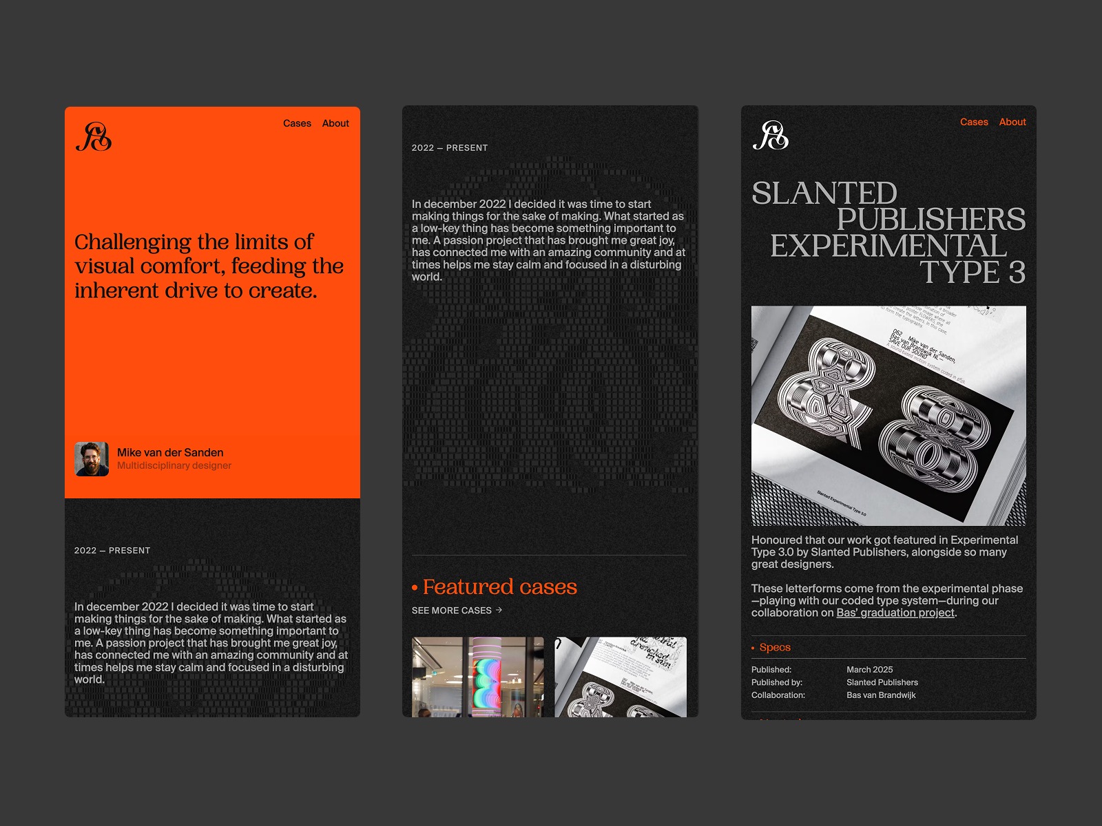 Mike van der Sanden — Personal Project Platform Image 4