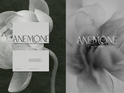 ANEMONE FRAGRANCE - LOGO + BRAND DESIGN
