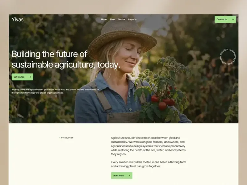 Solei by Kohesif Studio - Agency design asset by webflow