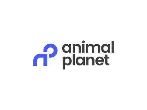Animal Planet Identity