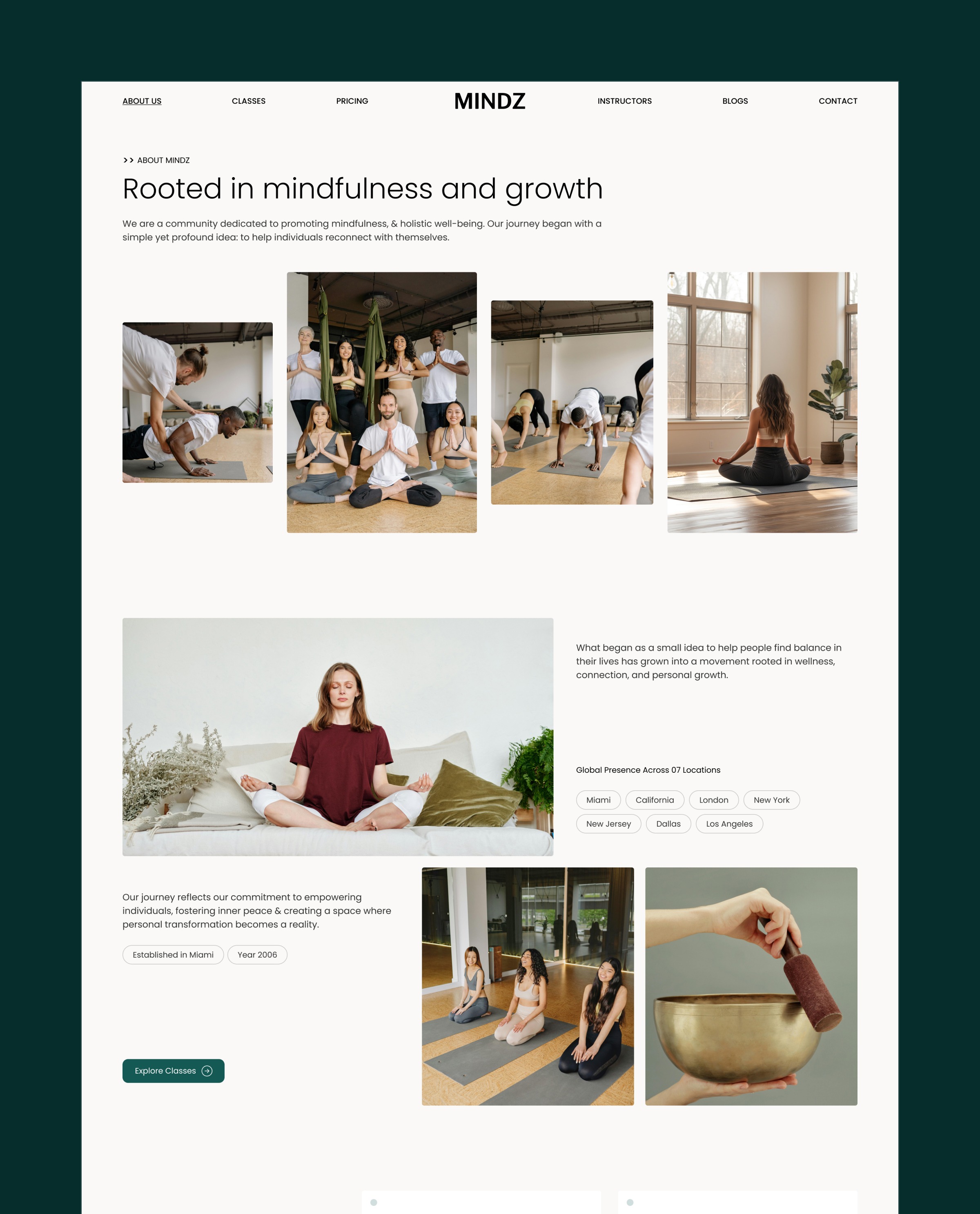 Mindz - Wellness Website Image 1