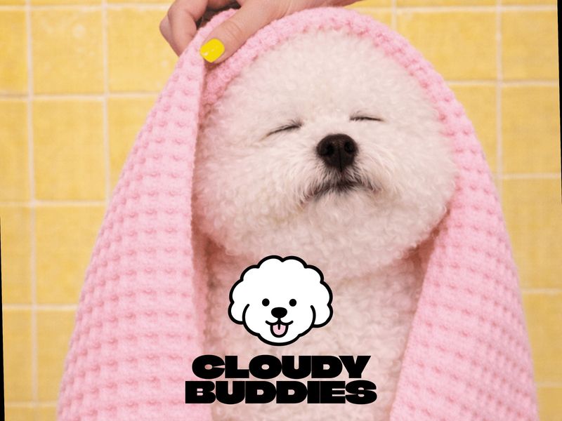 Bichon Frise Grooming | Brand Identity
