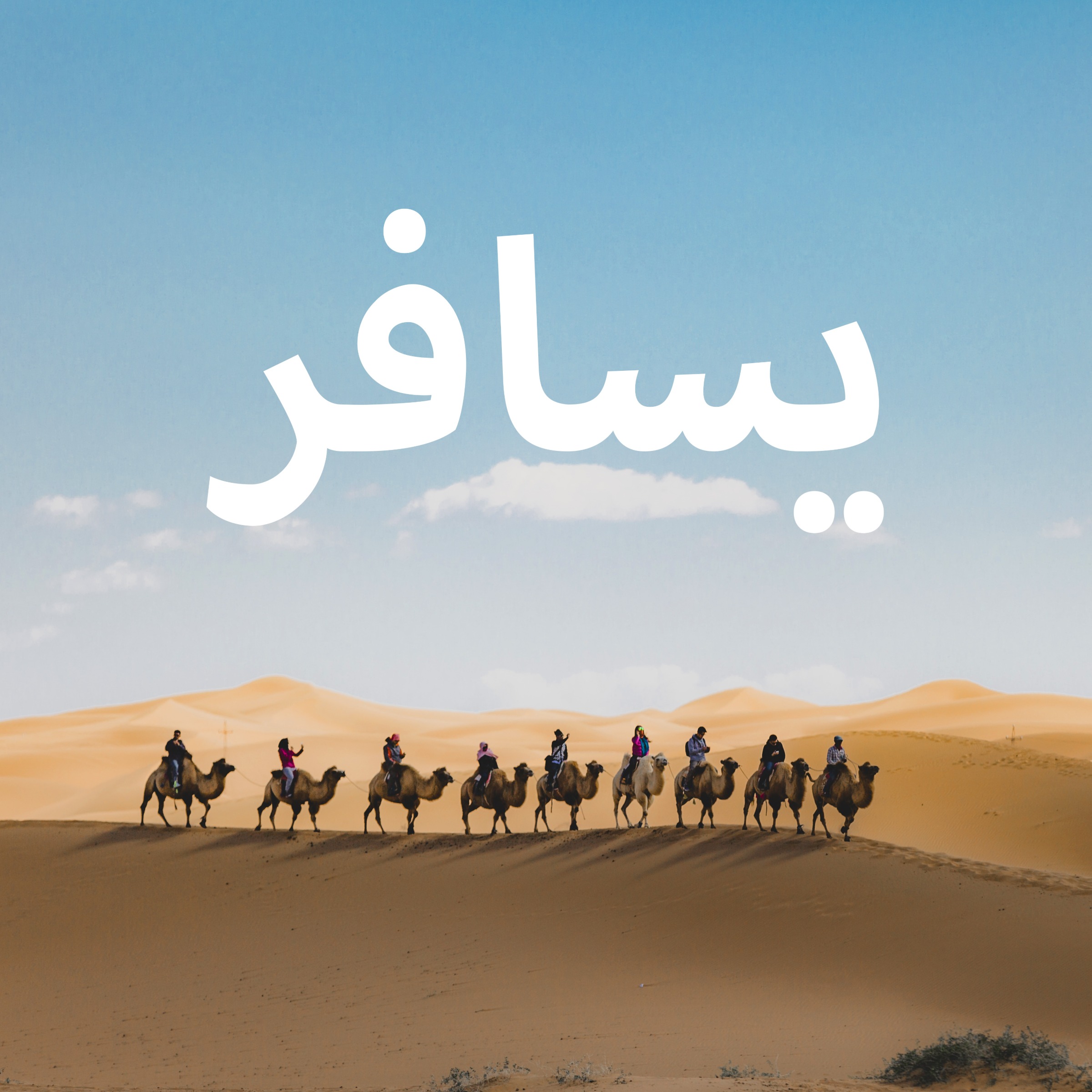 Travel