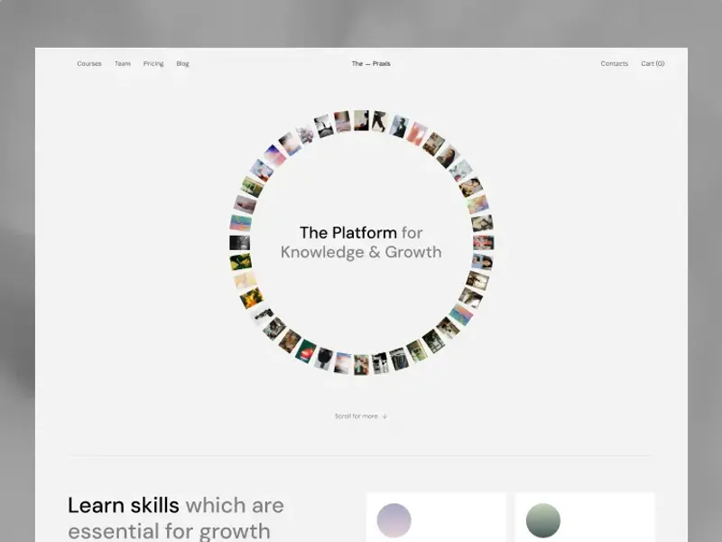 The Praxis by Outer Studio