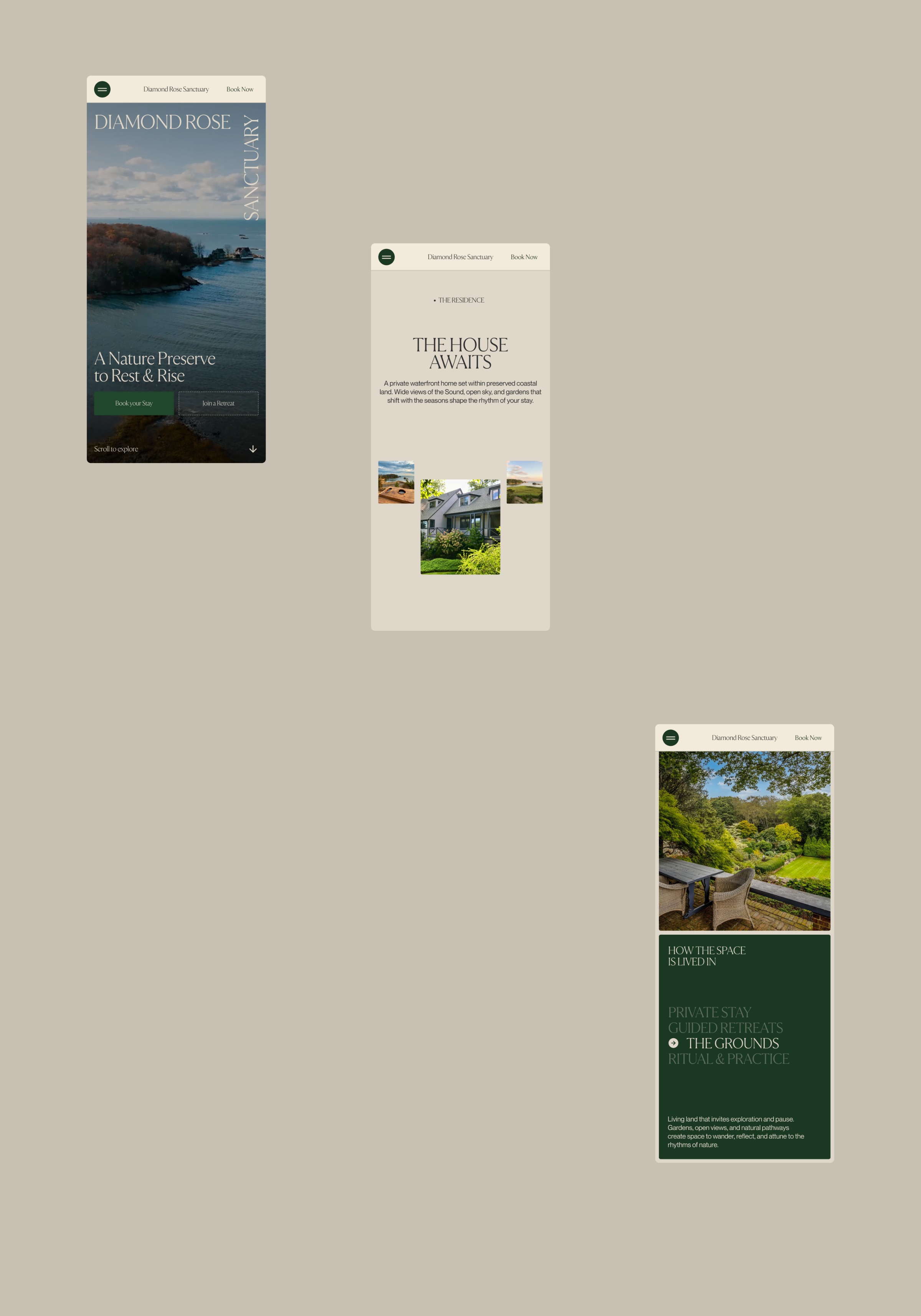 Diamond Rose Sanctuary [Behance] Image 0