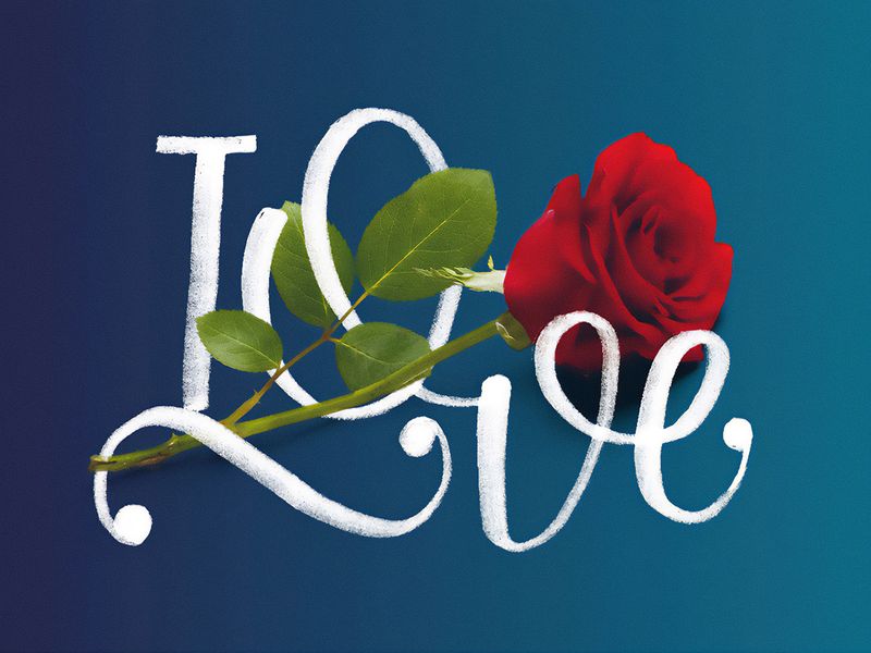 TYPEFOLIO | Brush Lettering