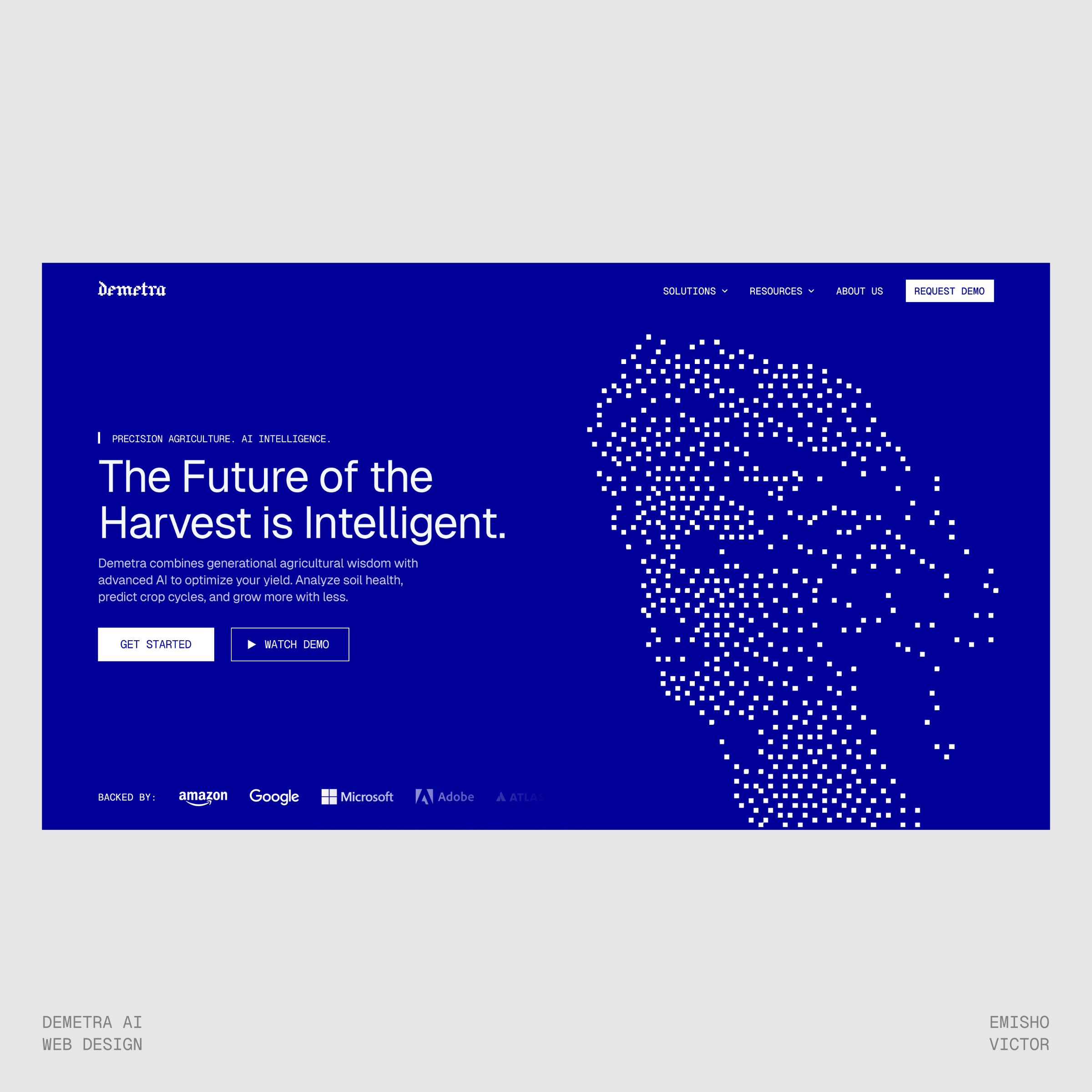 Demetra AI Website Image 0