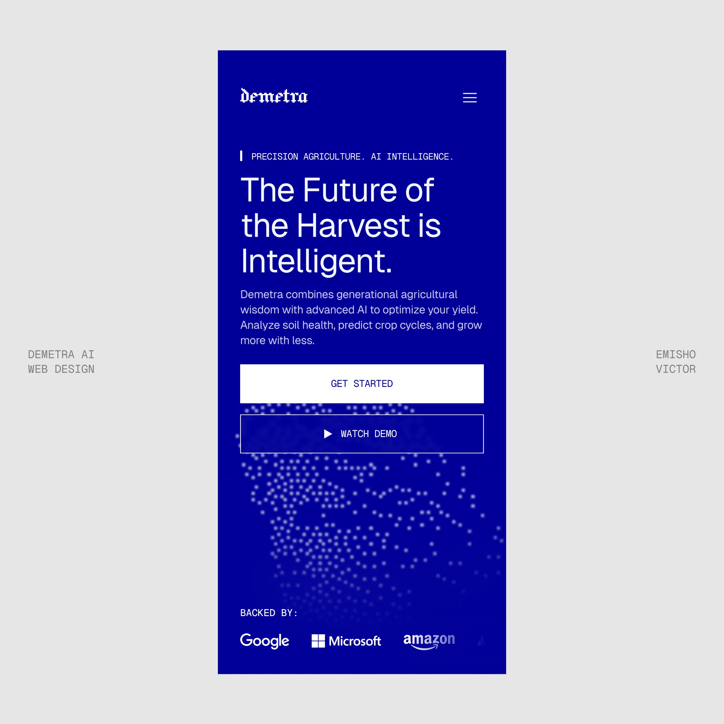 Demetra AI Website Image 2