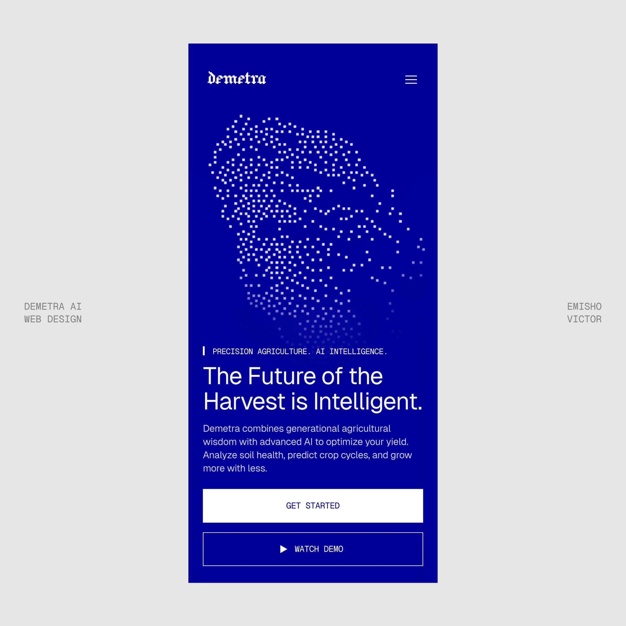 Demetra AI Website Image 4