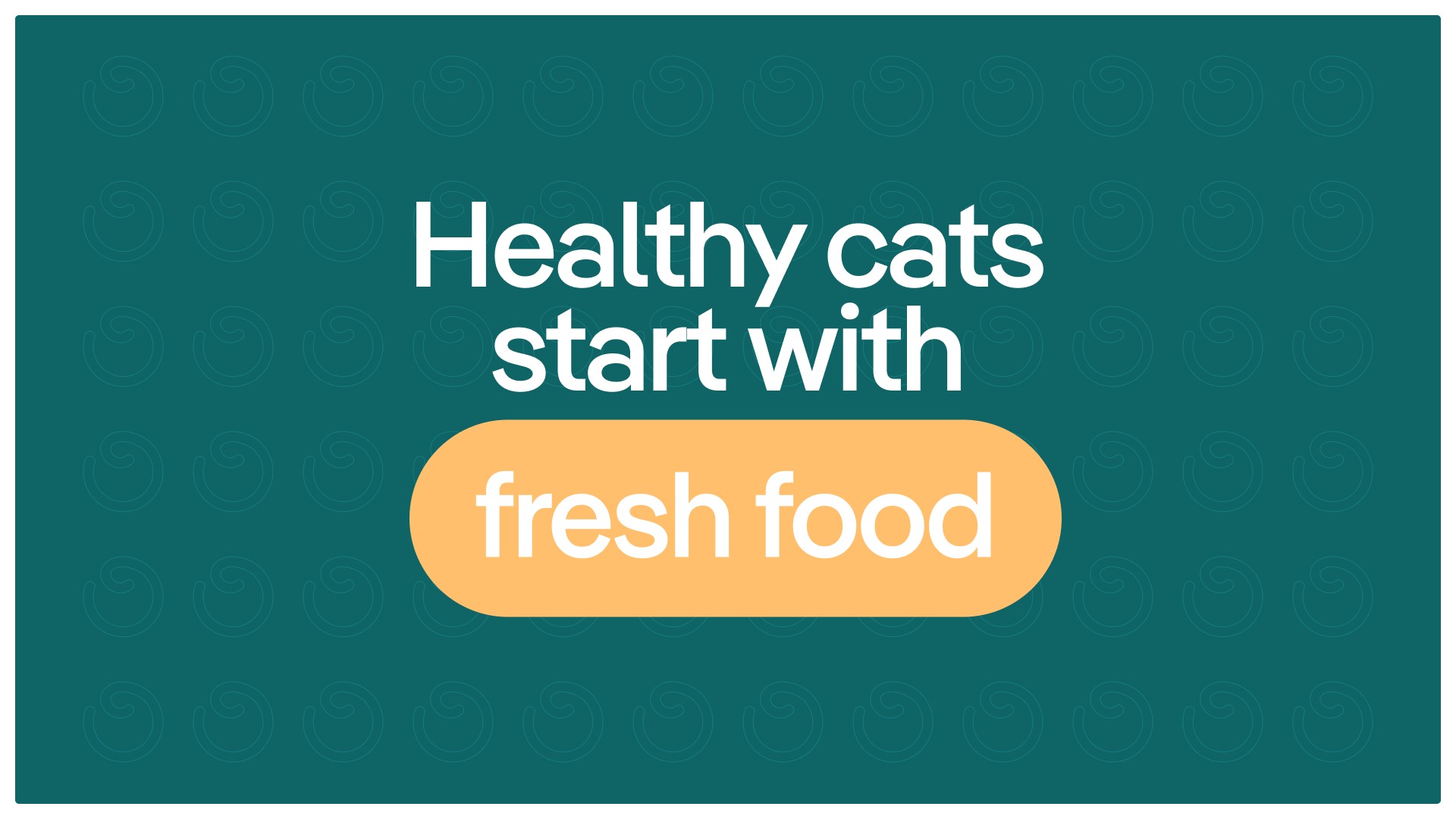 Pikko : Fresh Human-Grade Cat Food Delivery in Australia  Image 5