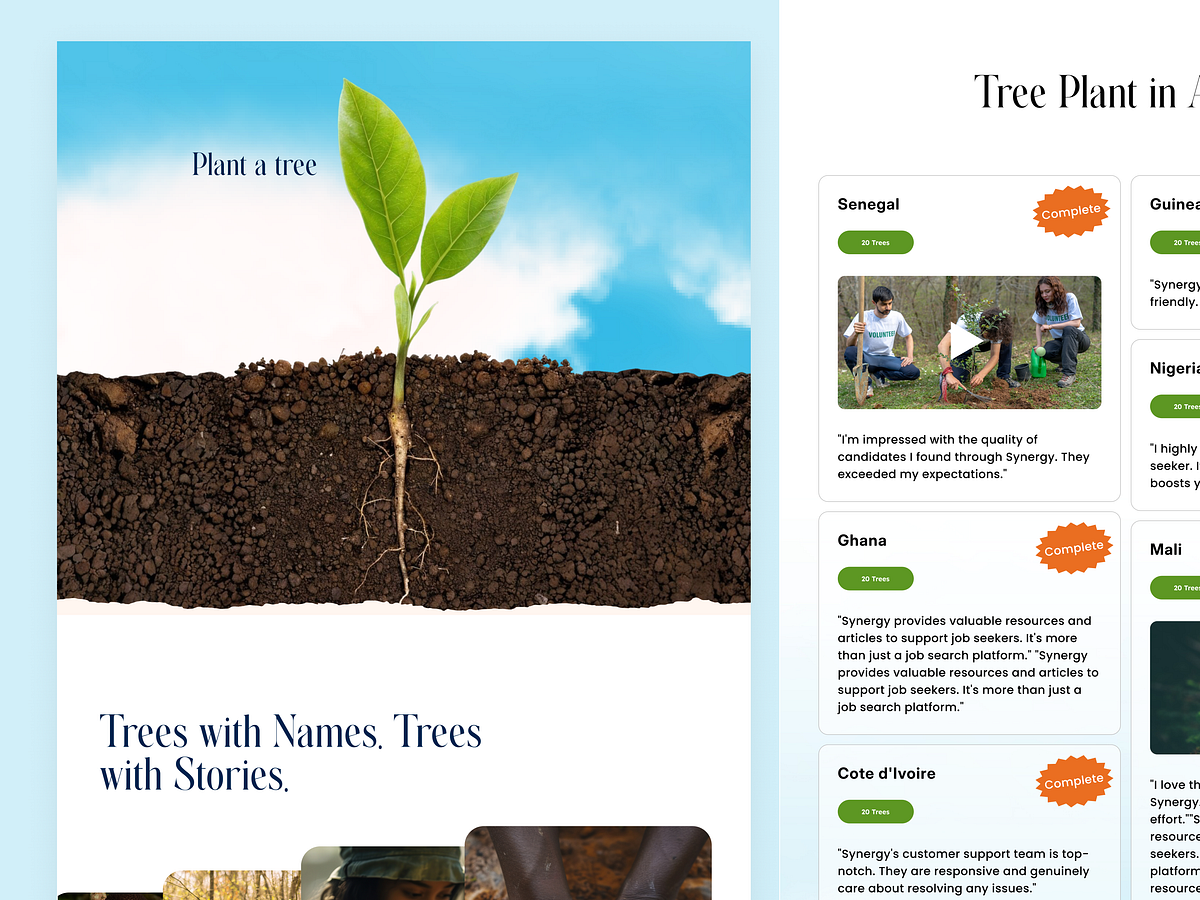 Sunrise Plant — Tree Planting Website Design Image 0