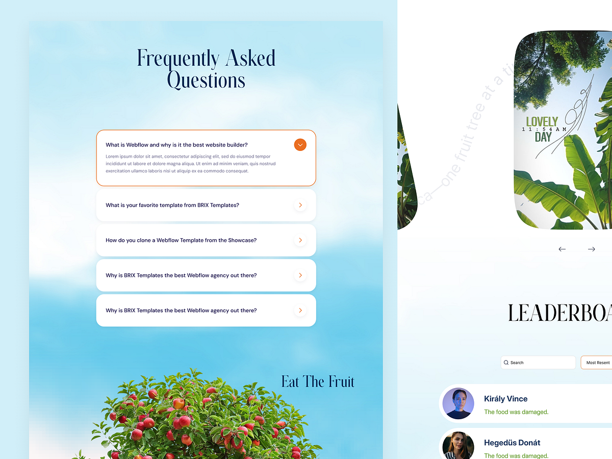 Sunrise Plant — Tree Planting Website Design Image 1