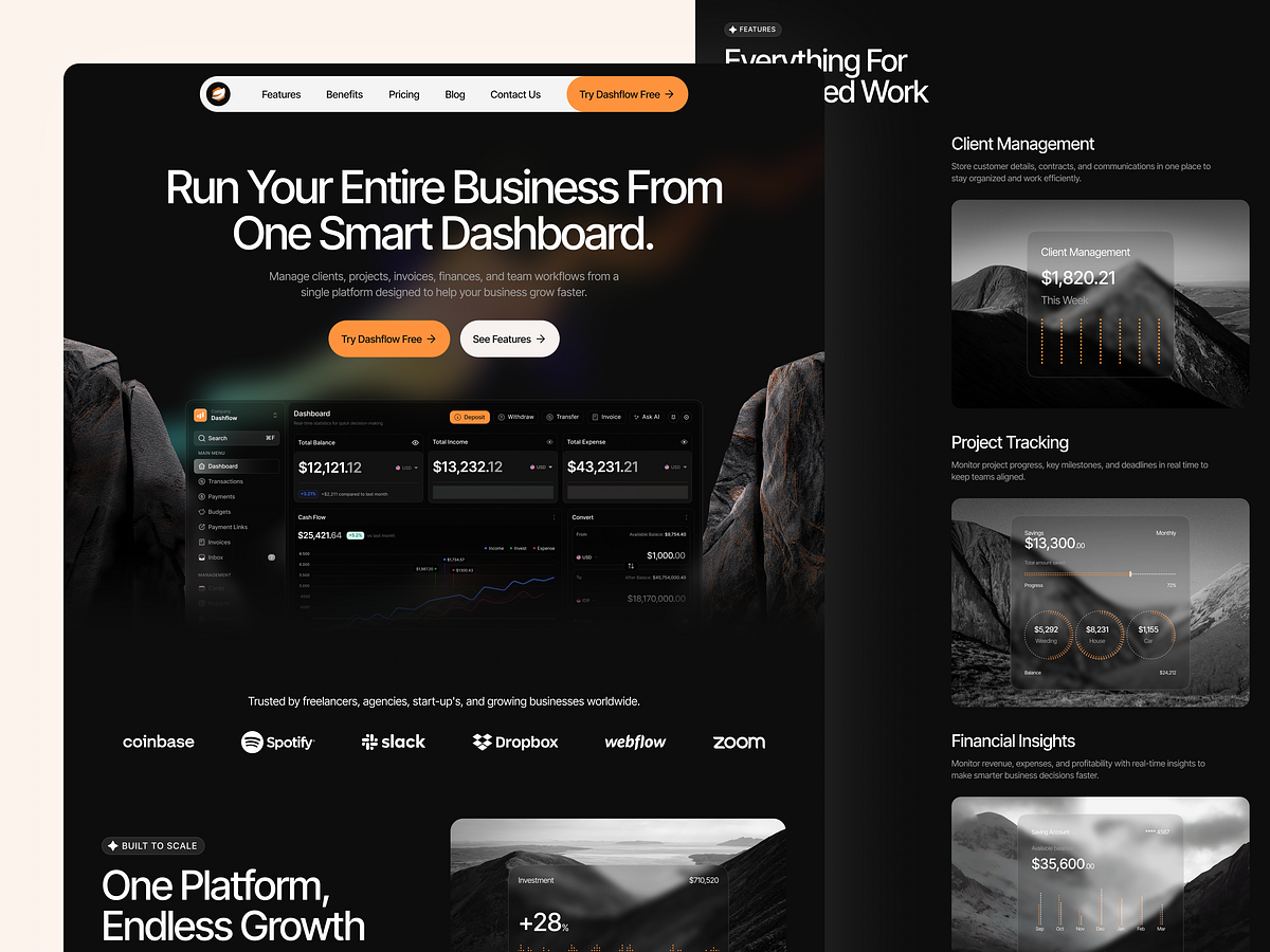 SaaS Startup website design