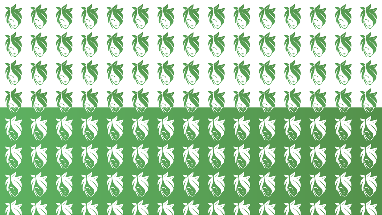 HRS Herbals - LOGO Design Image 5