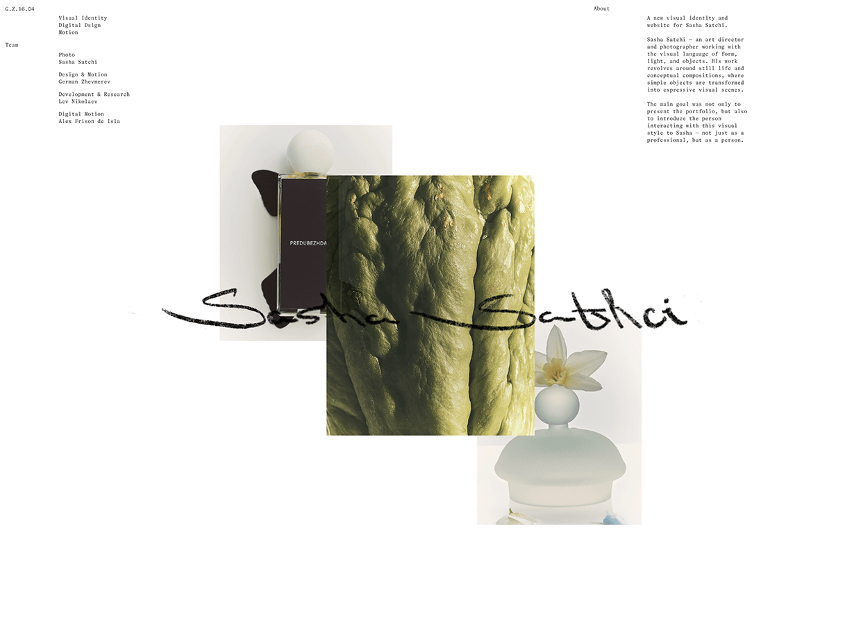 Sasha Satchi Behance Case Image 1