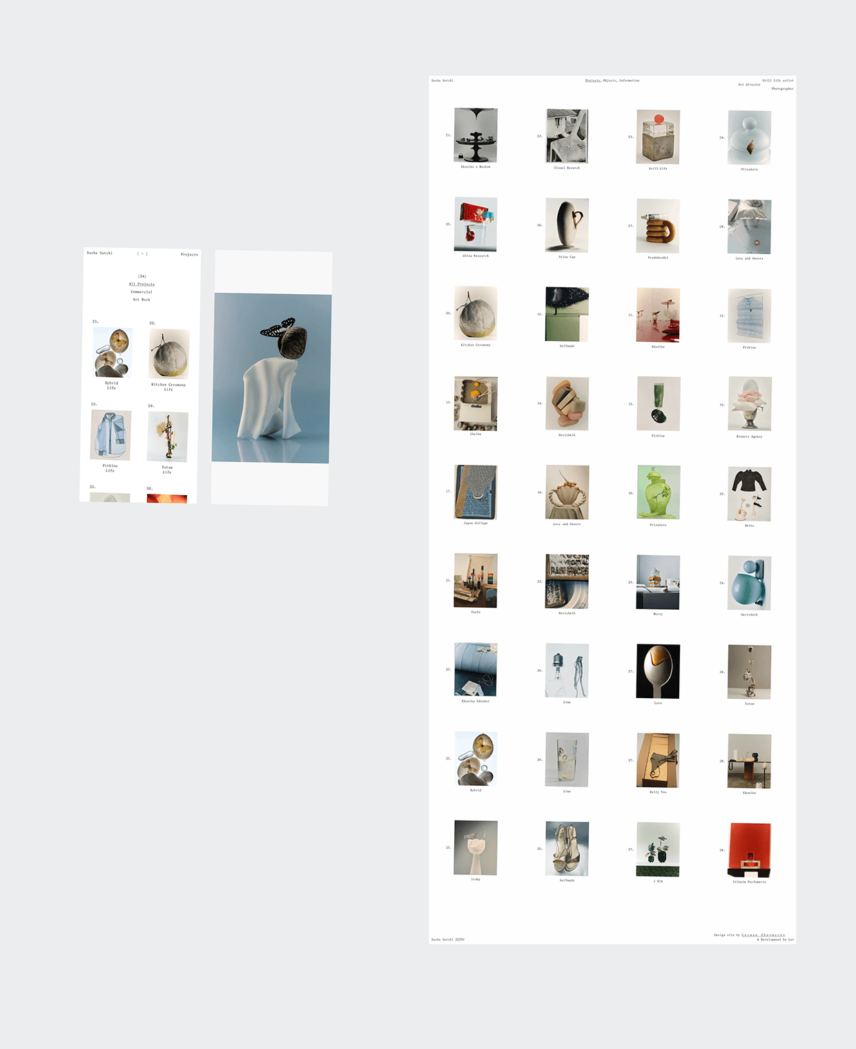 Sasha Satchi Behance Case Image 5