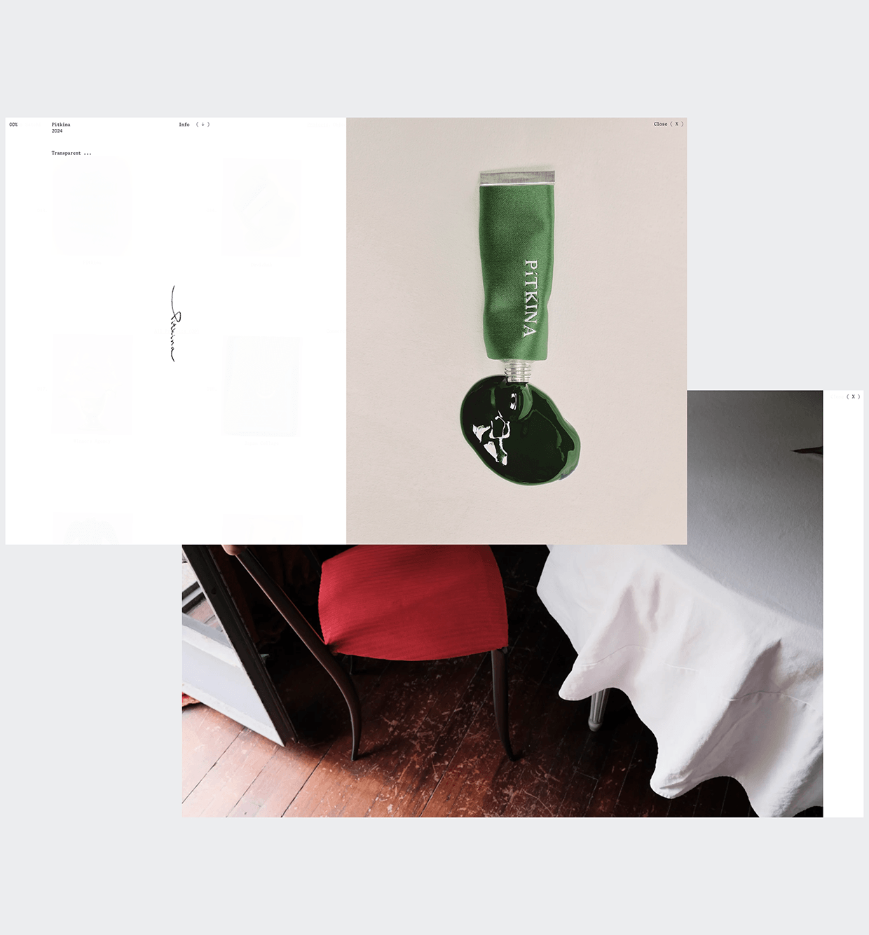 Sasha Satchi Behance Case Image 11