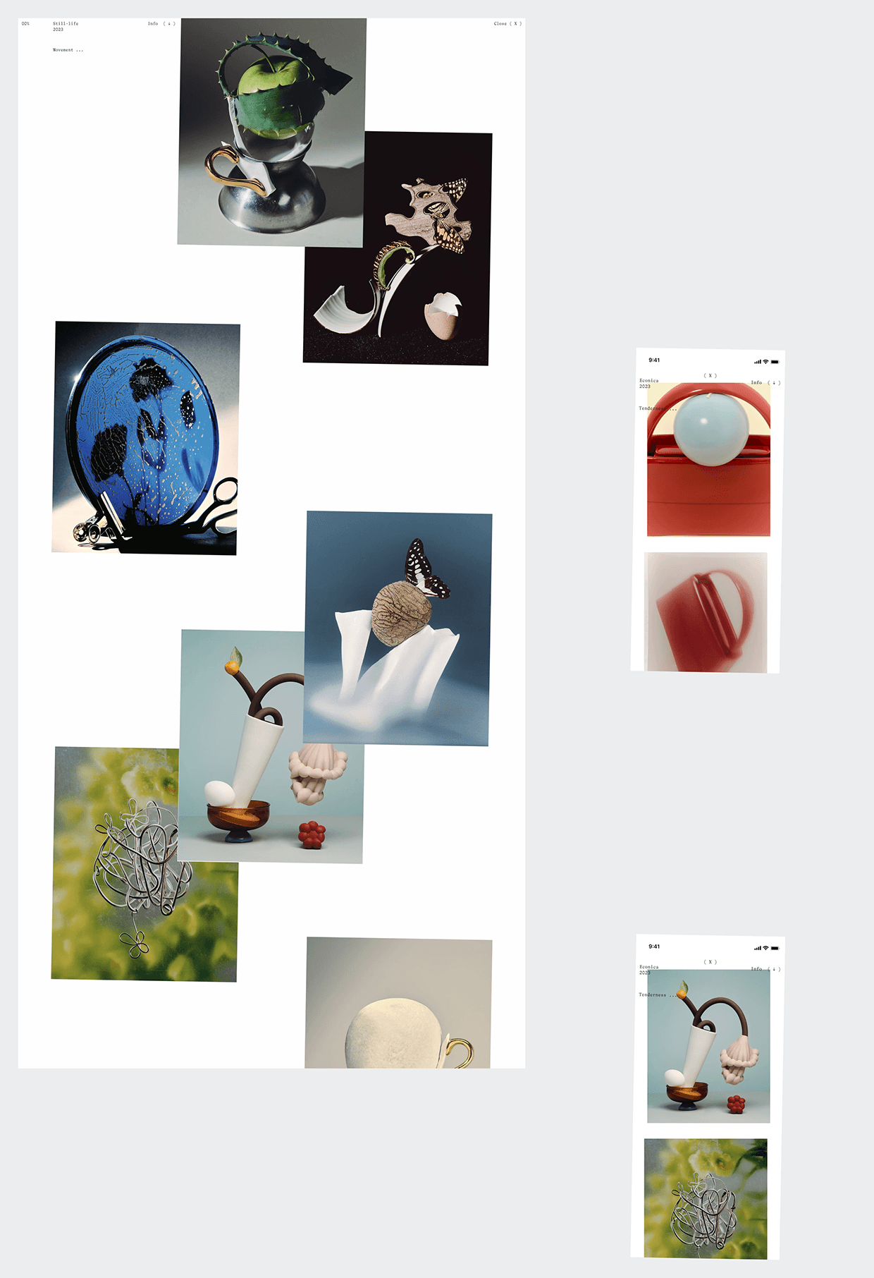 Sasha Satchi Behance Case Image 12