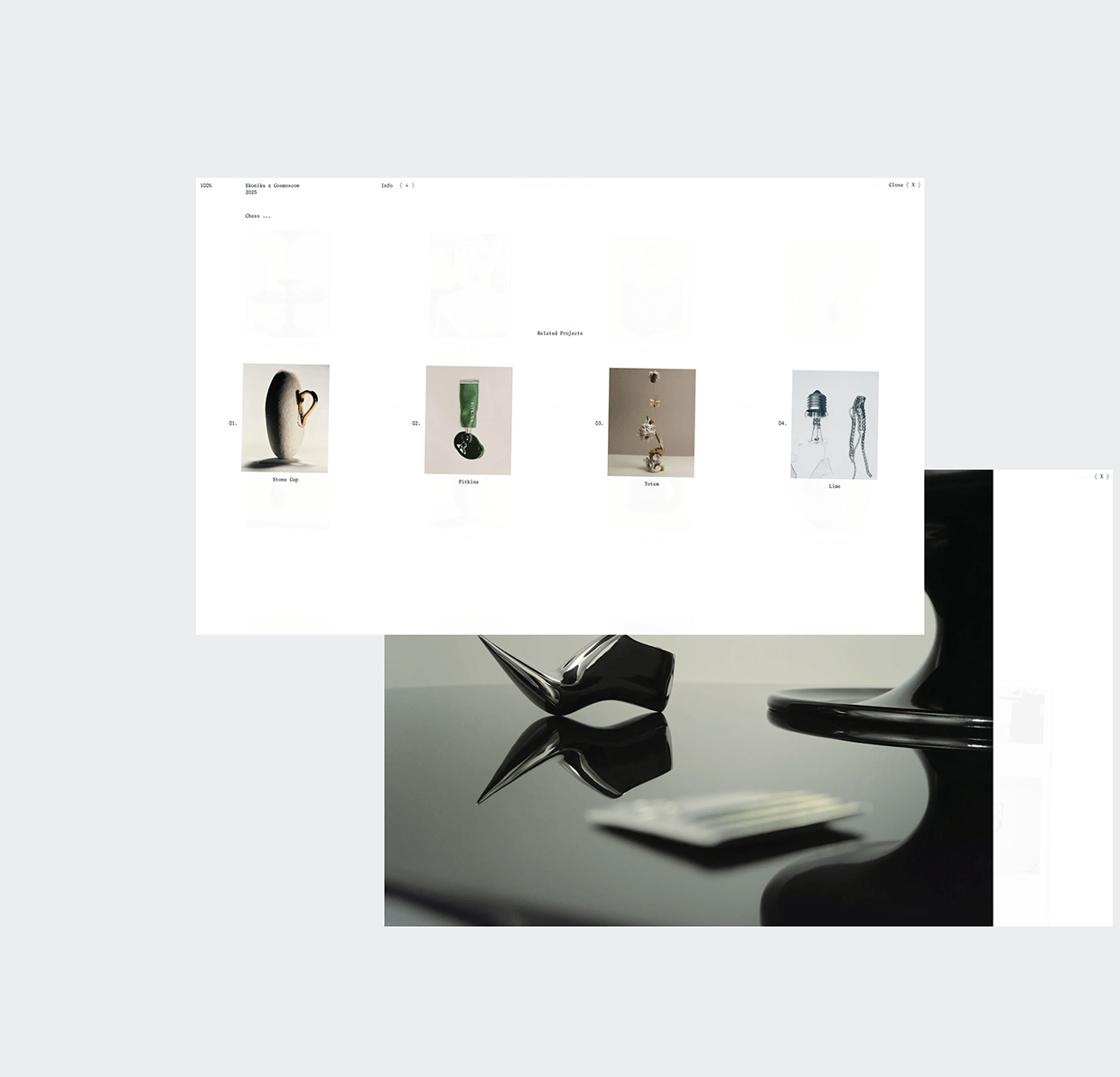 Sasha Satchi Behance Case Image 13