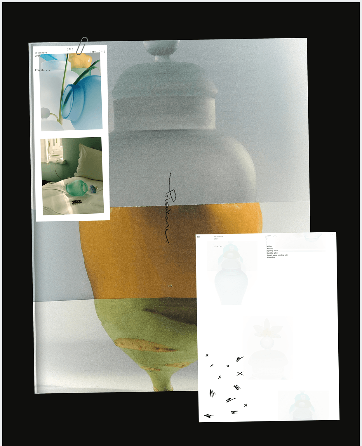 Sasha Satchi Behance Case Image 14