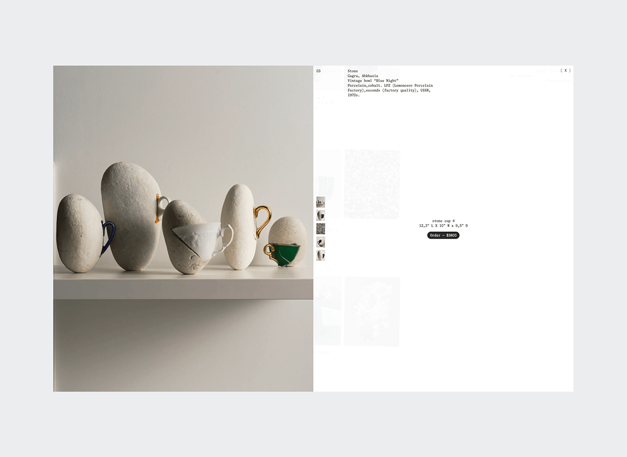 Sasha Satchi Behance Case Image 18