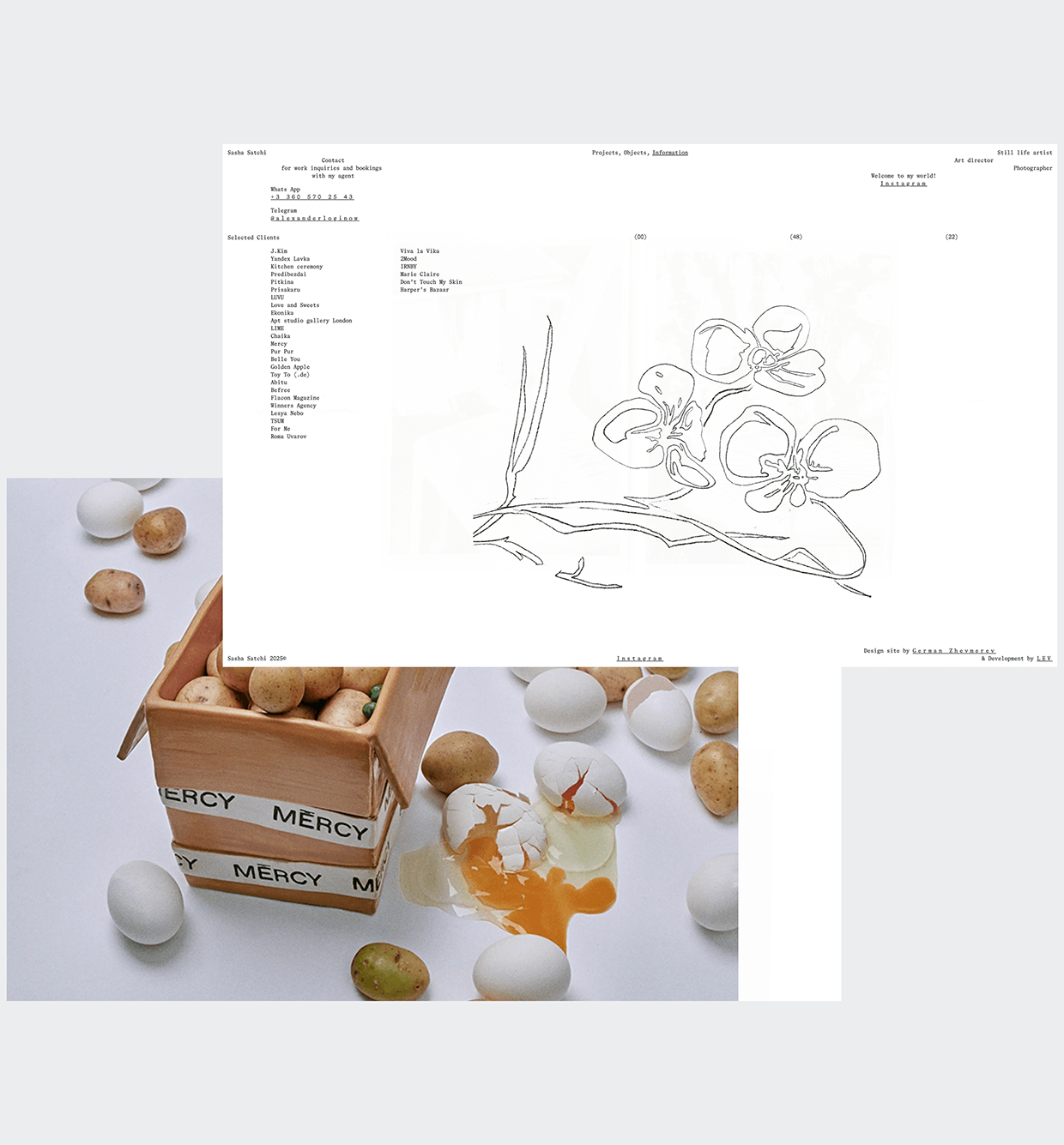 Sasha Satchi Behance Case Image 20