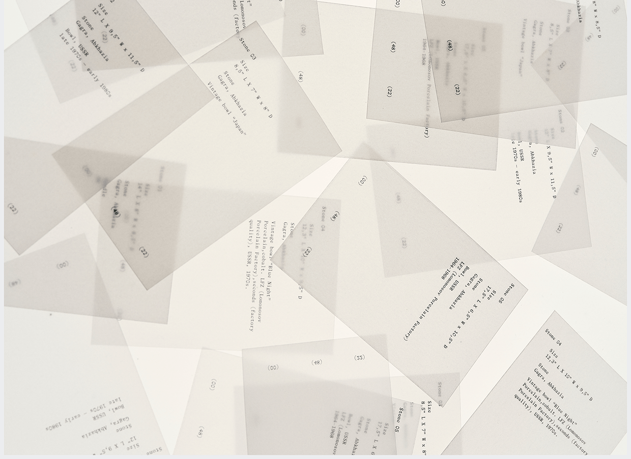 Sasha Satchi Behance Case Image 23