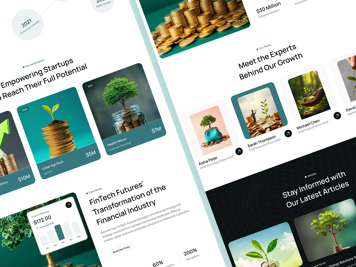 Premium Capital & Investment Landing Page Design Image 3