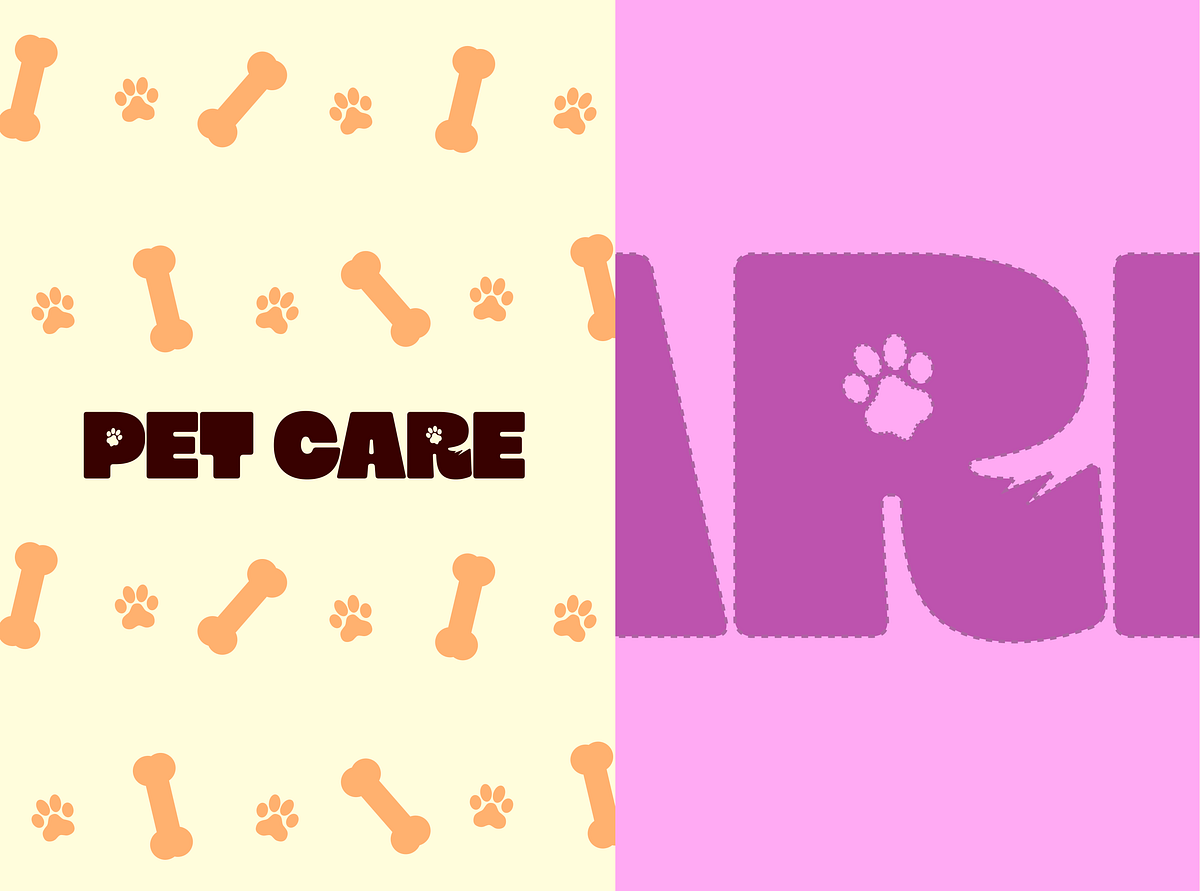 Pet Care Bento Branding and Visual Identity Design Image 0