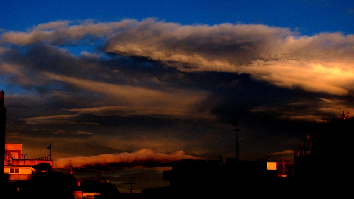 Zielos – byZO.