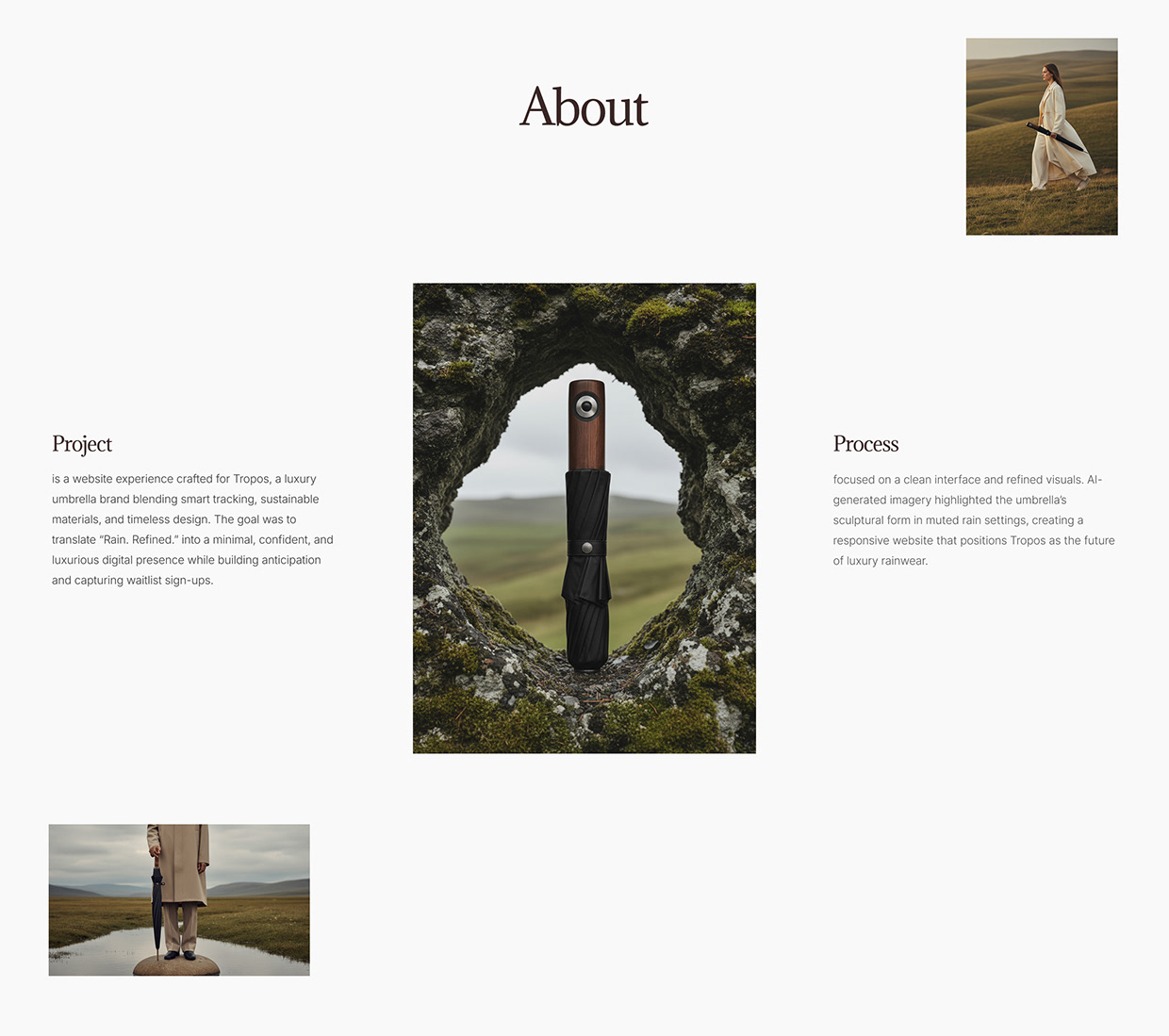 Tropos - AI Visuals & Framer Website Design Image 0