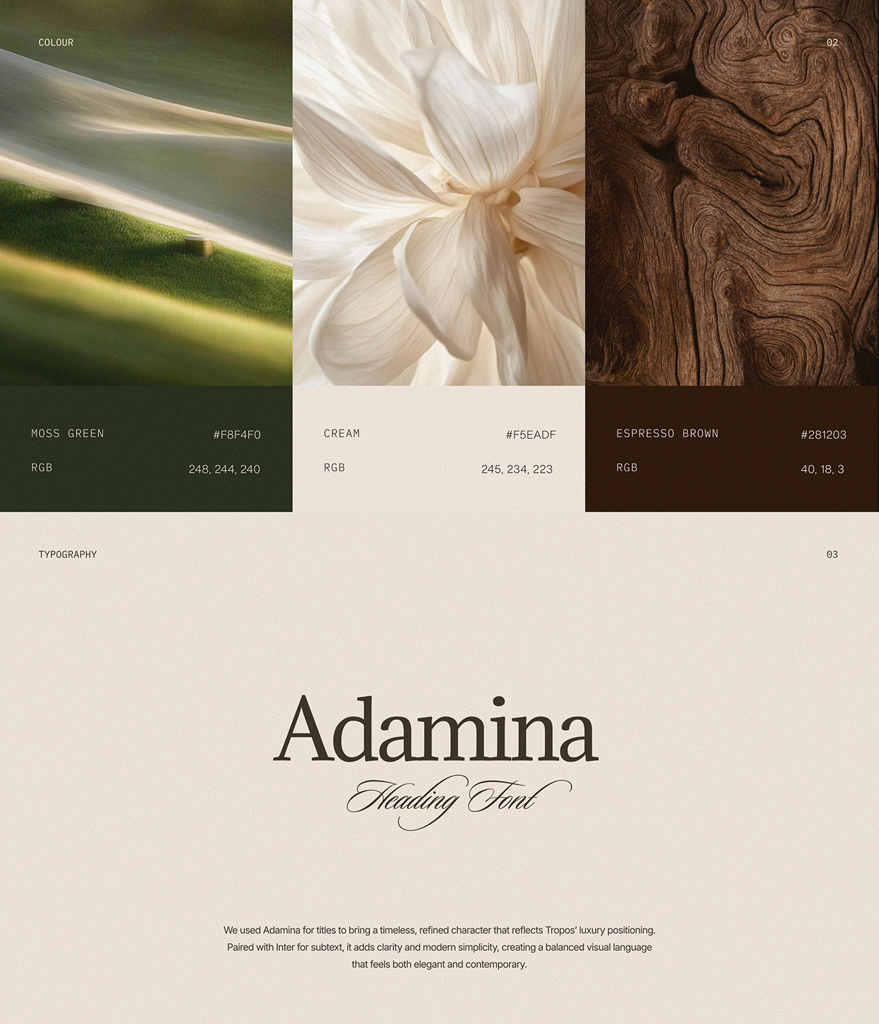 Tropos - AI Visuals & Framer Website Design Image 1