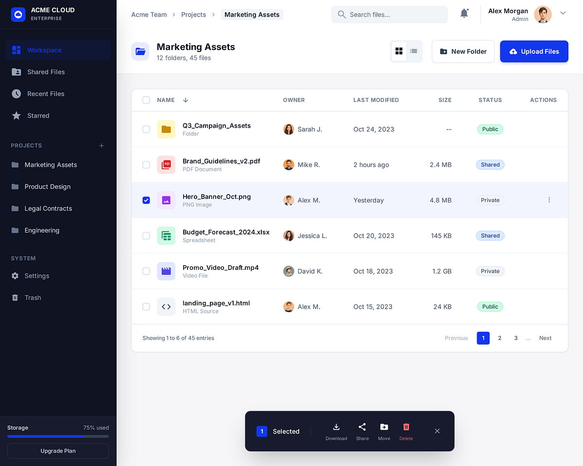 Acme Cloud - Saas Team File Manager Dashboard UI Design Image 0