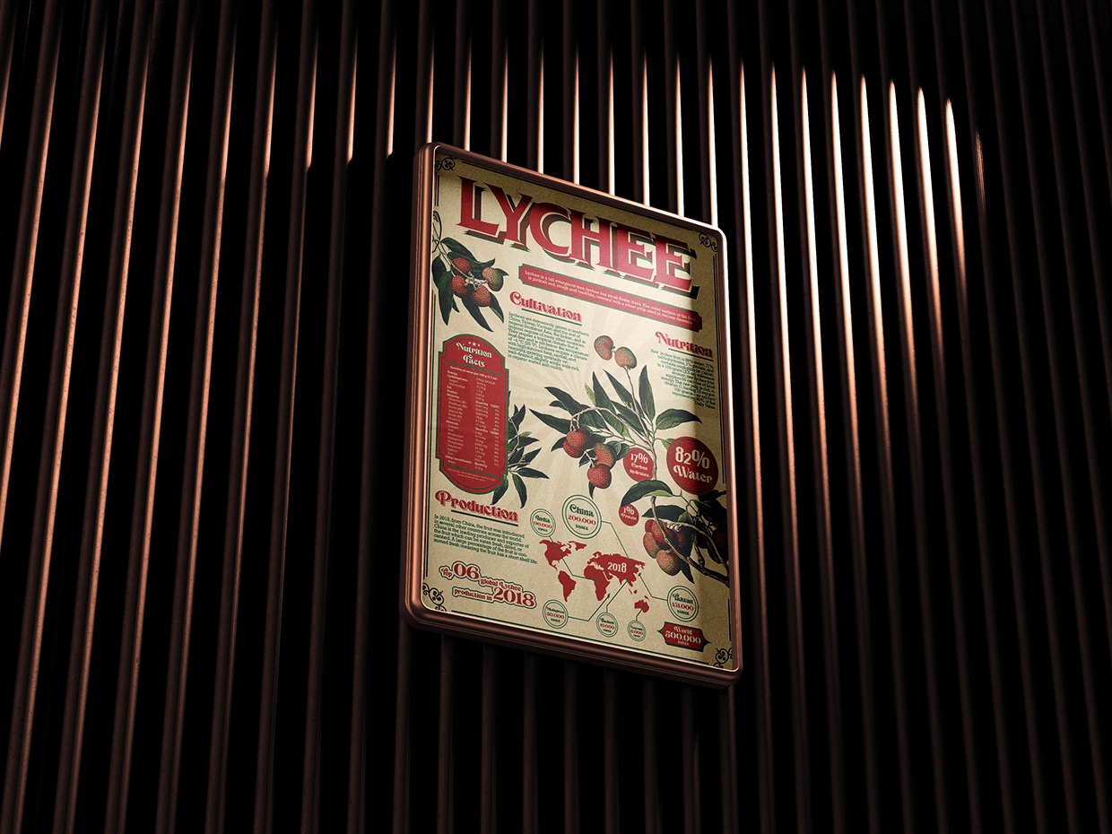 INFOGRAPHIC RETRO - Fruit Lychee Image 0