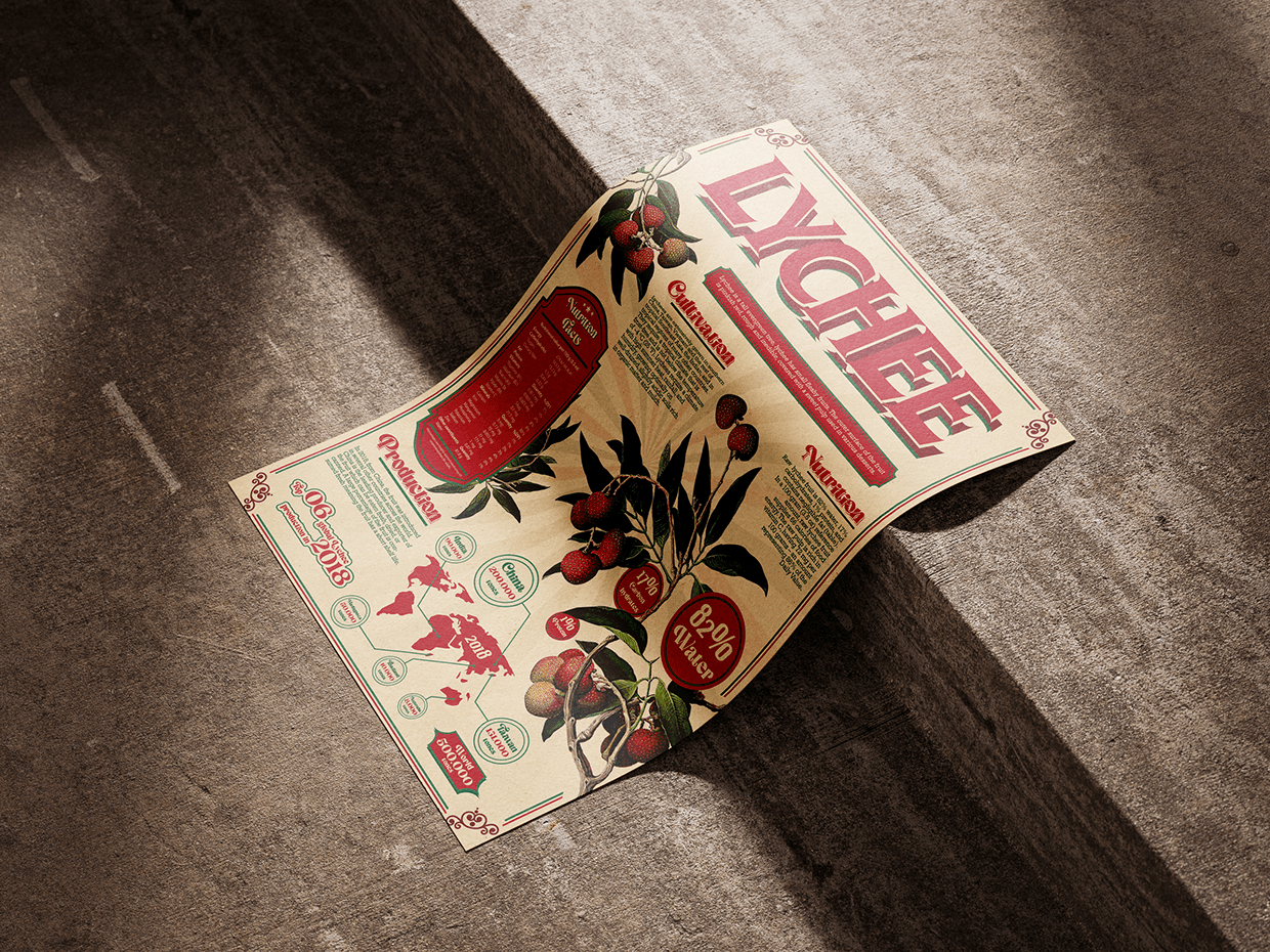 INFOGRAPHIC RETRO - Fruit Lychee Image 1