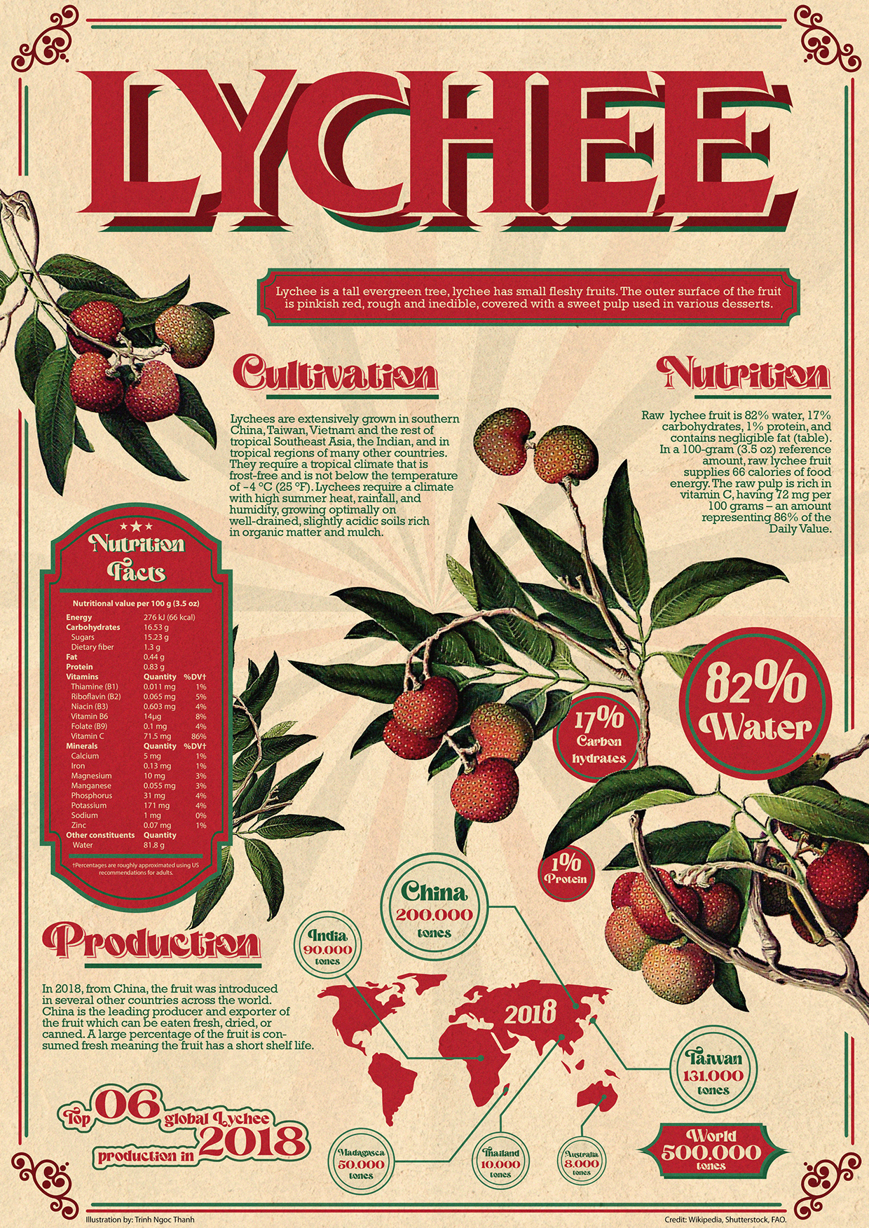 INFOGRAPHIC RETRO - Fruit Lychee Image 2