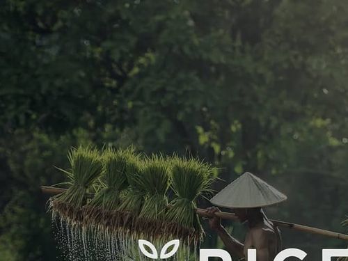 REHO DESIGN | Logo Folio 01