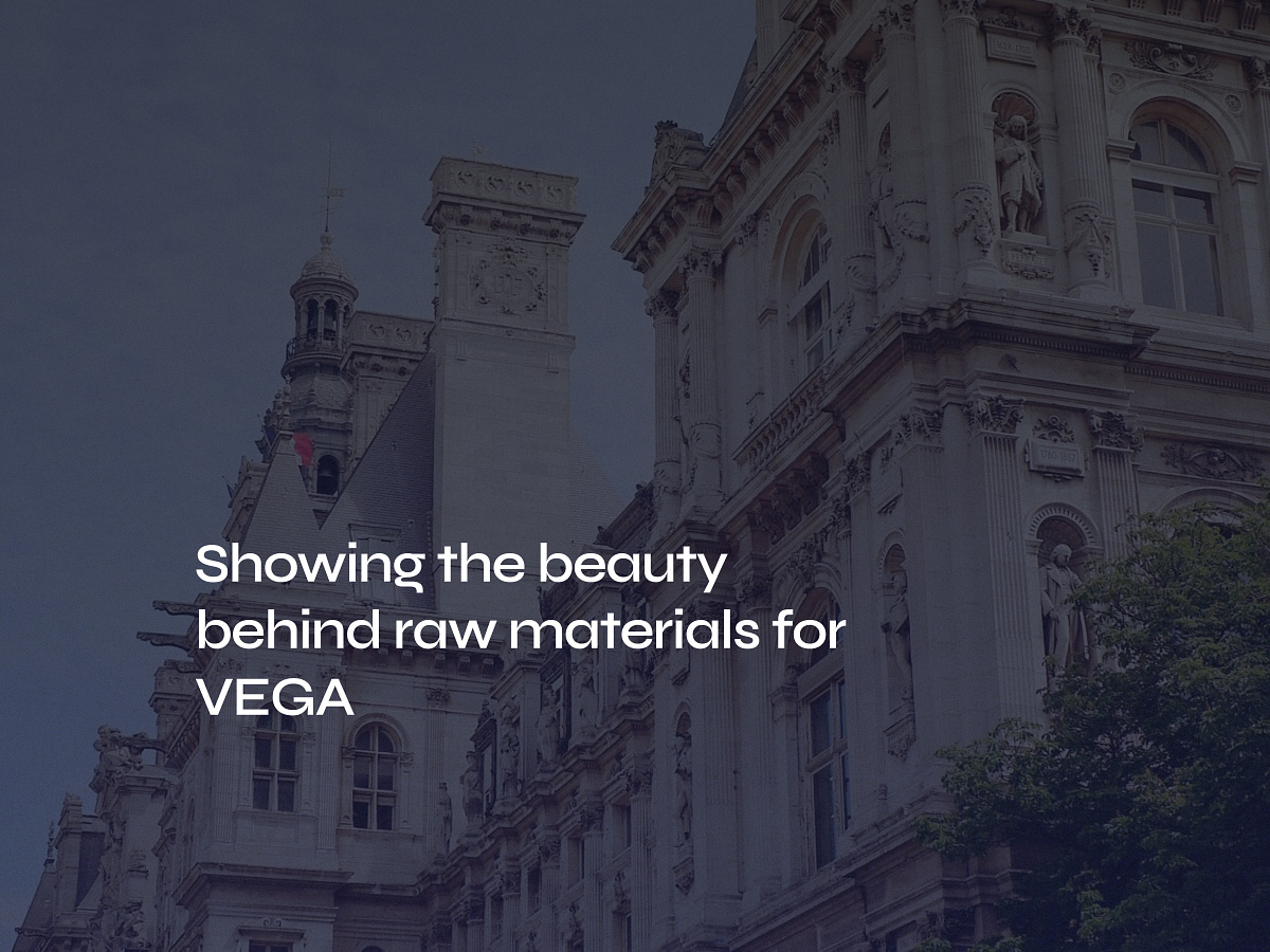 Brand & website redesign for VEGA — beauty behind raw