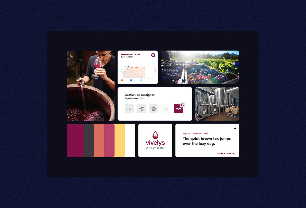 Vivelys products ecosystem design Image 2