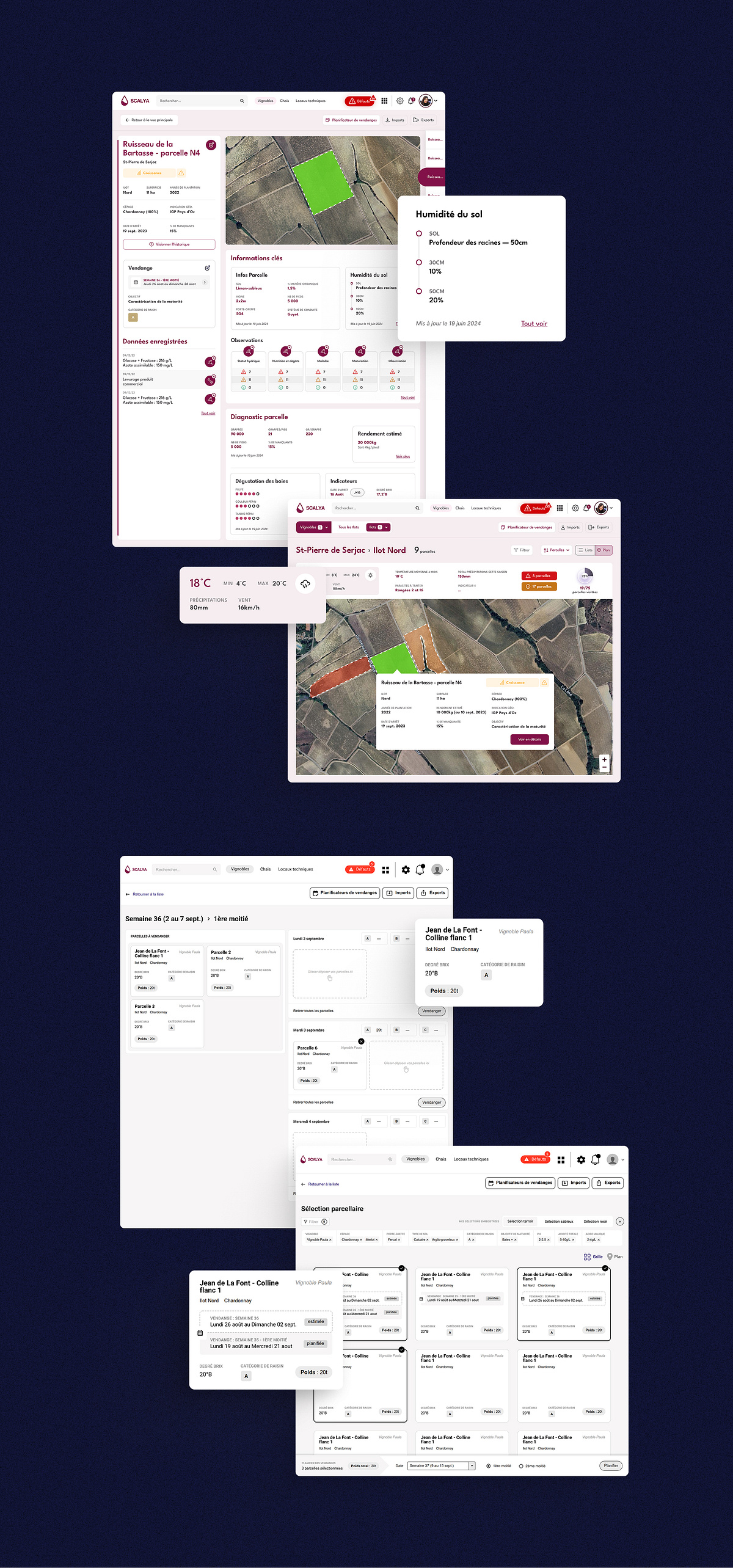 Vivelys products ecosystem design Image 3