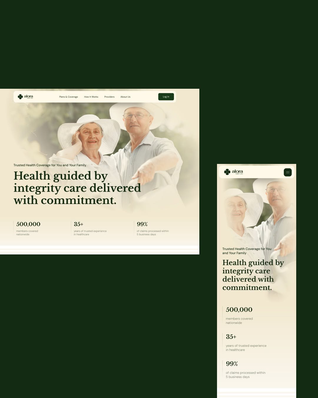 Alora Website Layout Image 1