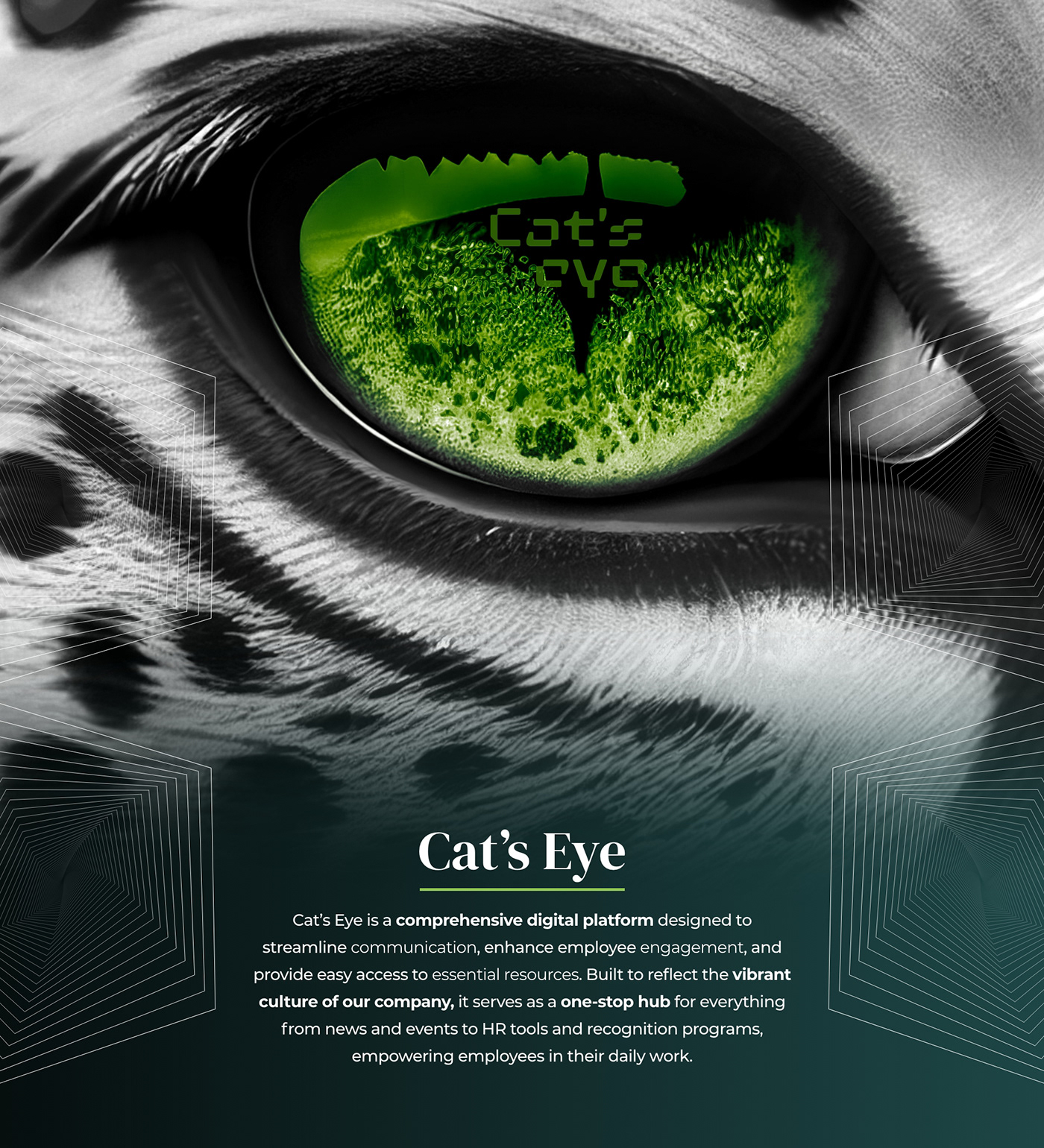 Cat's Eye - Enterprise Product Design Image 0