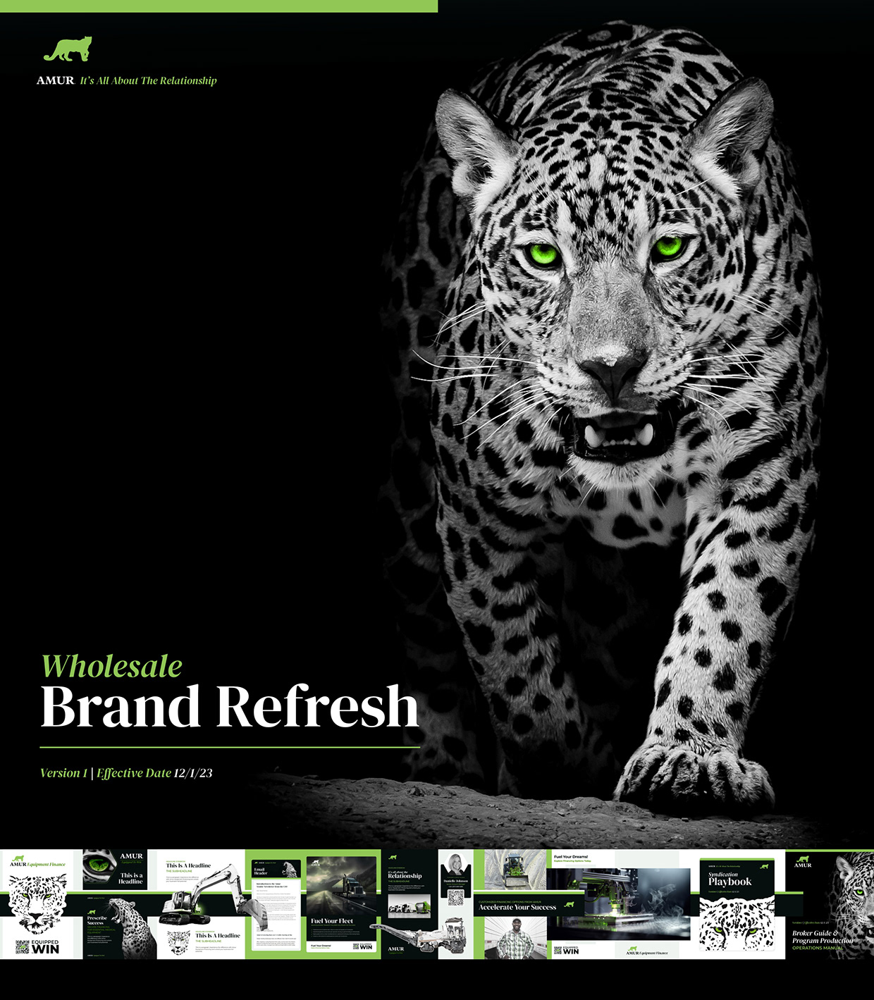 Brand Refresh for Amur Wholesale Team