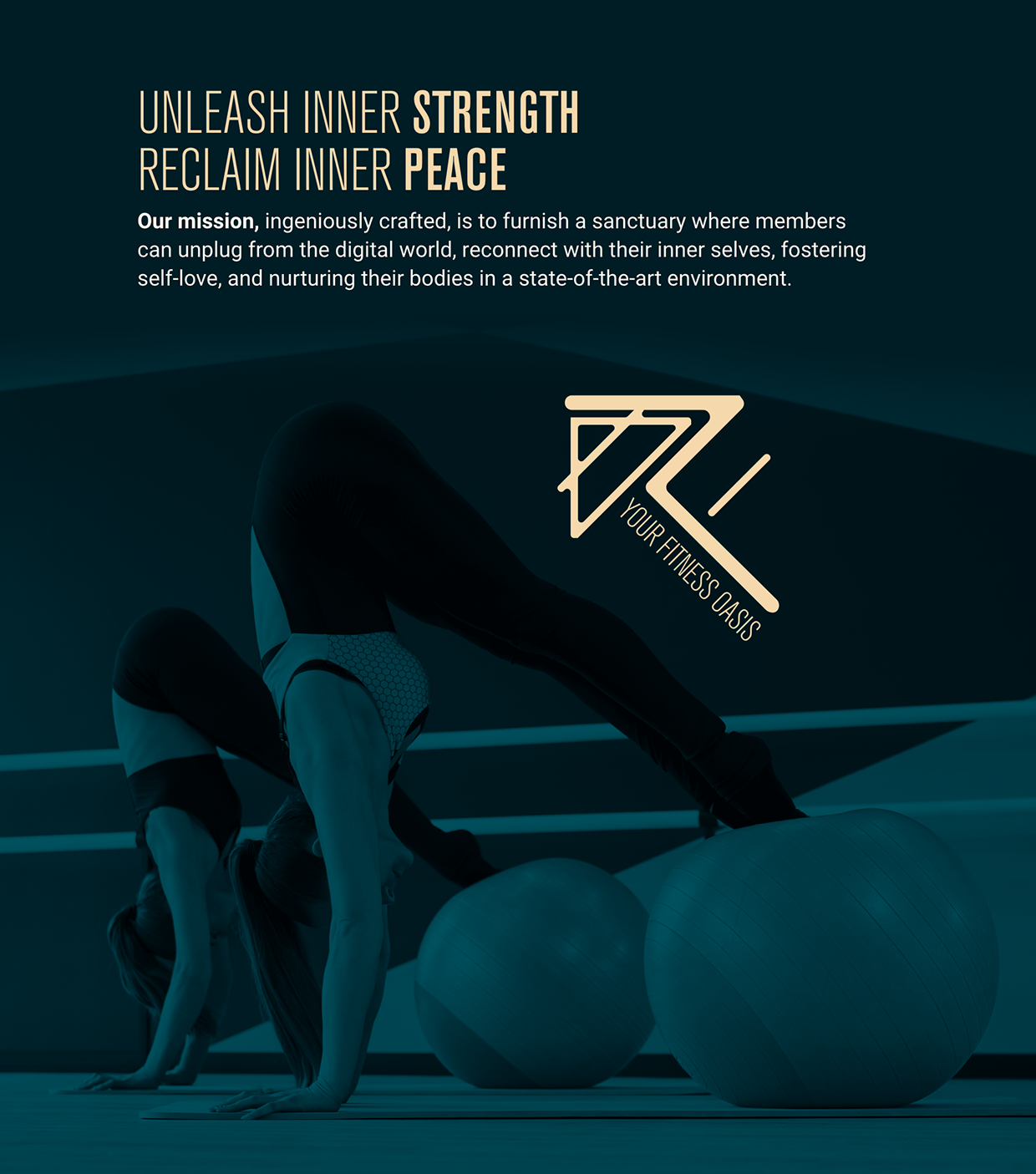 Logo & Branding - RF Studio - Luxury Fitness Oasis Image 4