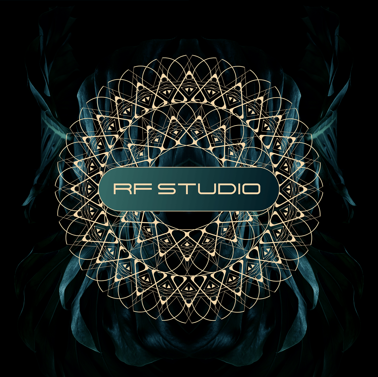 Logo & Branding - RF Studio - Luxury Fitness Oasis Image 9
