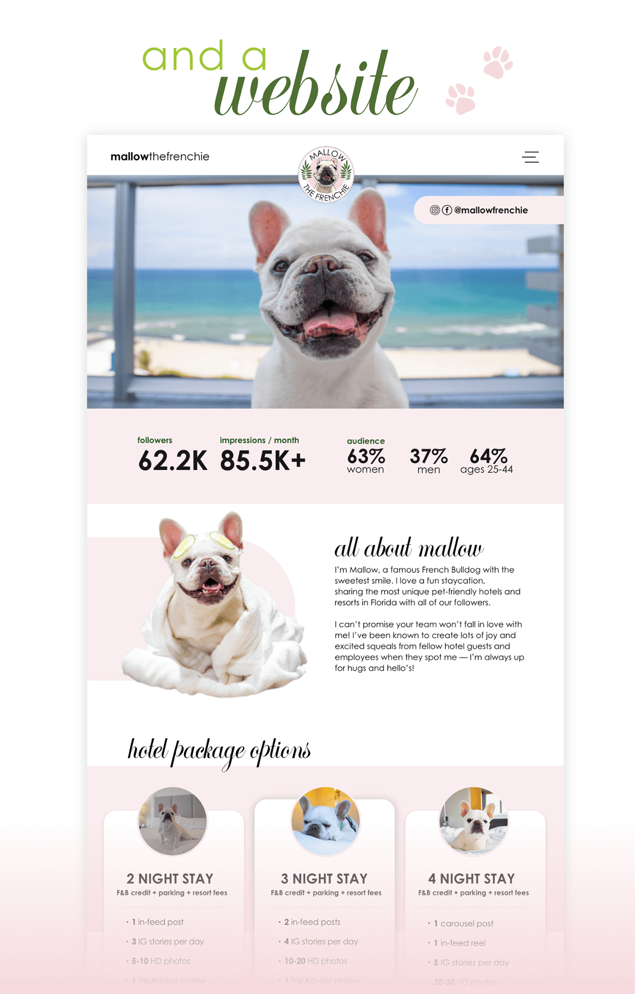 Mallow The Frenchie Image 6